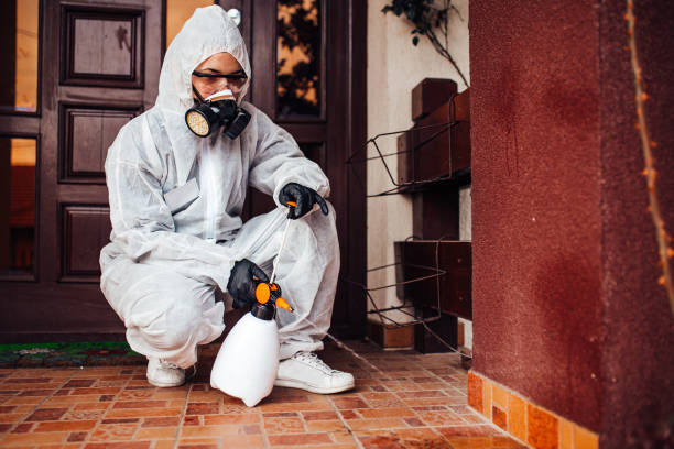 Reliable Bed Bug Control contractor in Ashland, KY by Nex Pest Control